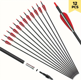 31" Carbon Practice Arrows (12 Pk)