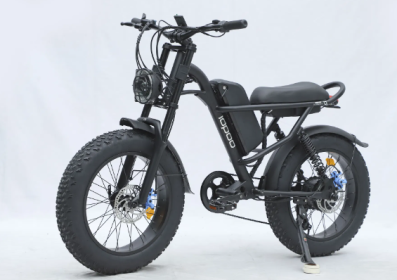 IDPOO 750W EBike