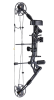 COMPOUND BOW