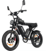 Ridstar Dual Motor 2000W EBike