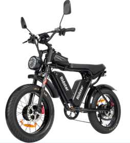 Ridstar Dual Motor 2000W EBike