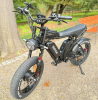 Ridstar Dual Motor 2000W EBike