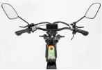 Ridstar Dual Motor 2000W EBike