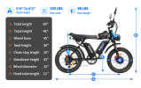 Ridstar Dual Motor 2000W EBike