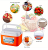 Insulated Picnic Coolers (5-Piece Set)