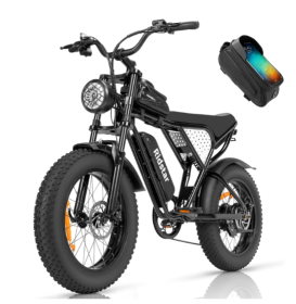 Ridstar 1000W EBike