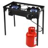 Double Burner Gas BBQ Grill (150,000 BTU)