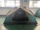 Camping Dome Tent