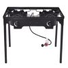 Double Burner Gas BBQ Grill (150,000 BTU)