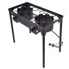 Double Burner Gas BBQ Grill (150,000 BTU)