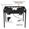 Double Burner Gas BBQ Grill (150,000 BTU)