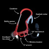 Fire Escape - Fire Starting Multi-tool Carabiner