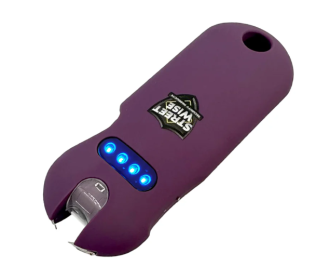 SMART 24,000,000* Keychain Stun Gun (Color: Dark Purple)